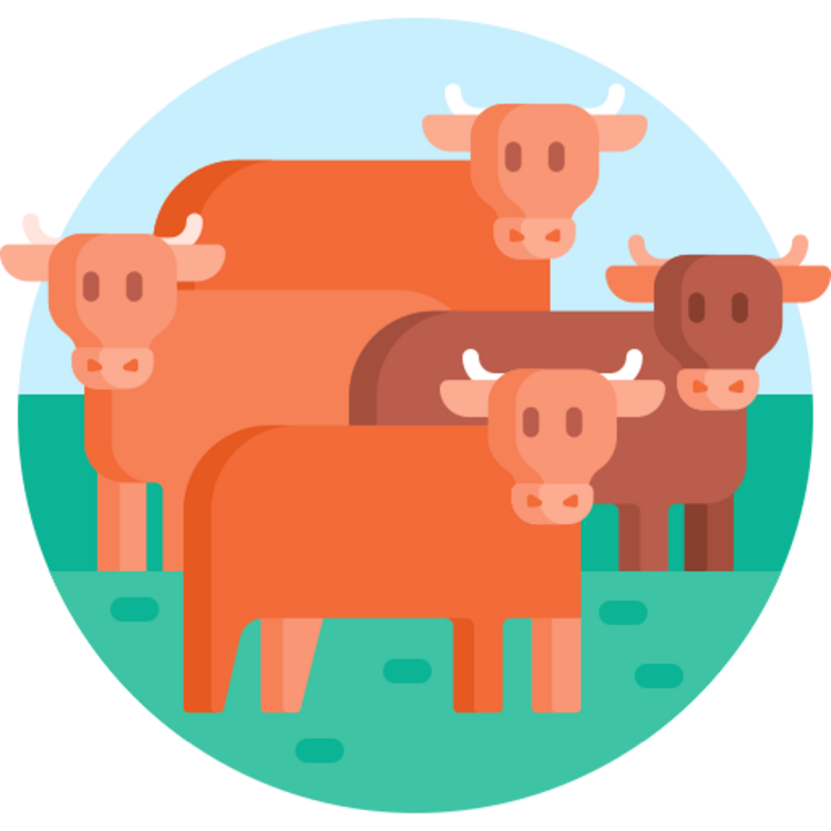 Livestock Production Consulting