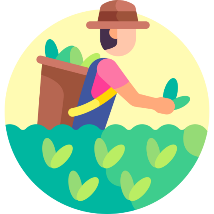 Agricultural Marketing