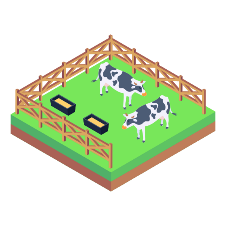 Field Visits