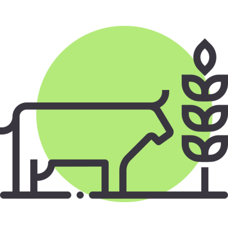 Fertilization & Irrigation Programs