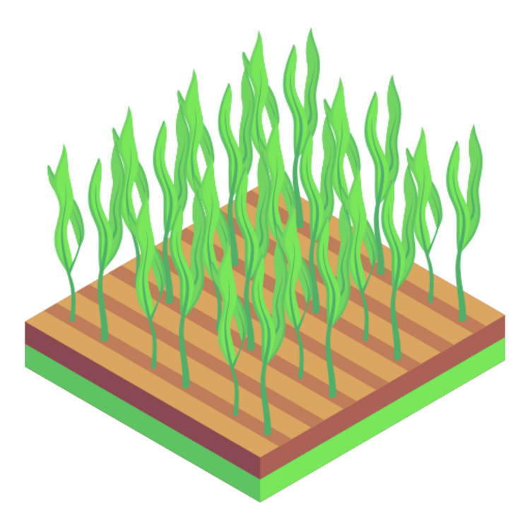 Farm Management